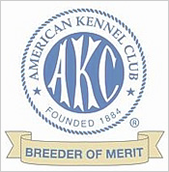 AKC Breeder of Merit