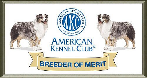 AKC BREEDER OF MERIT